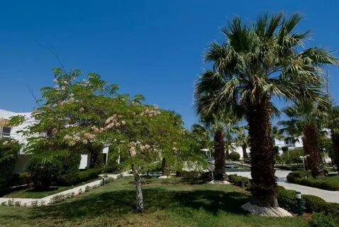 Ville resort
