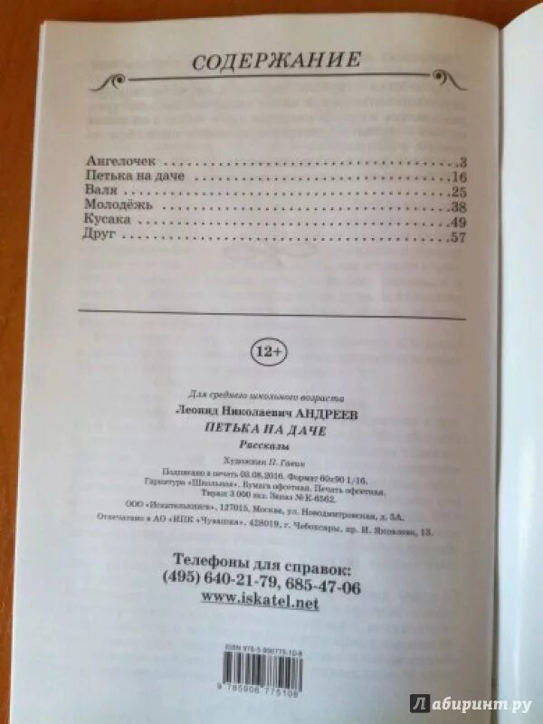 Андреев петька краткое содержание. Содержание книги Петька на даче. Л Андреев кусака сколько страниц. Петька на даче Андреев содержание книги.