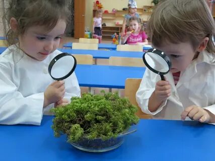 Маленькие исследователи старшая группа