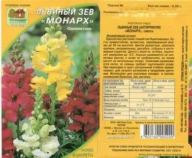 Когда можно высаживать львиный зев