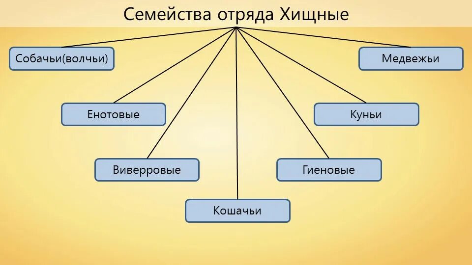 Систематику класса млекопитающих