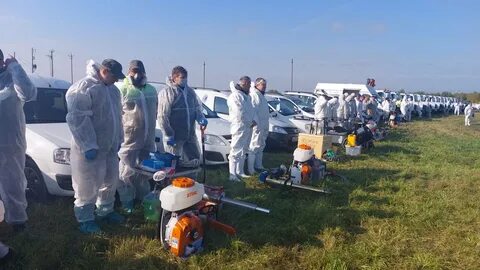 Африканская чума брянская область