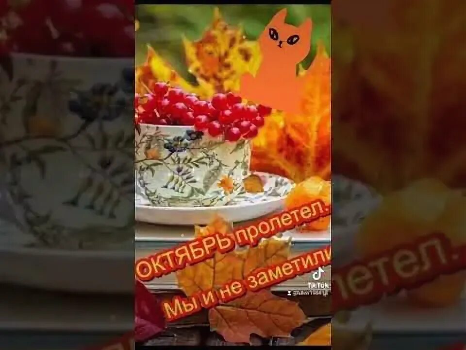 Последняя неделя октября как работаем