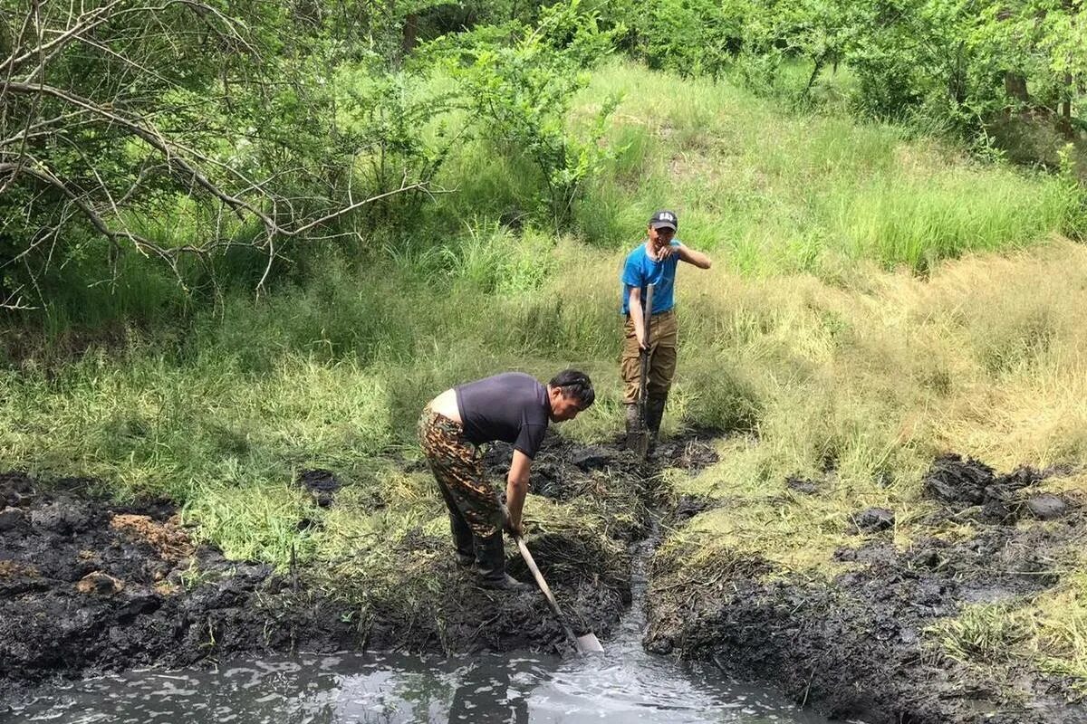 Аршан булг. Аршан булг целинный район калмыкия памятные места. Аршан спортивные площадки. Аршан булг республика калмыкия. Аршан булг.