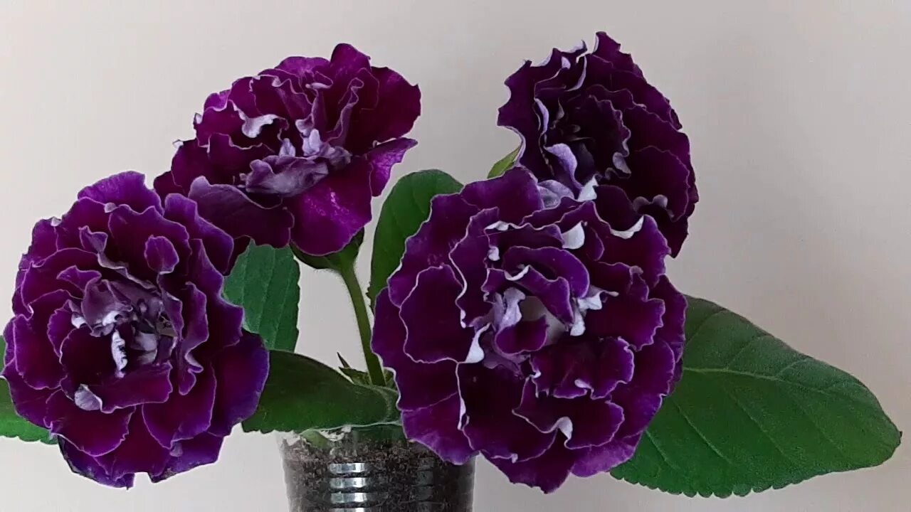 Неактивно