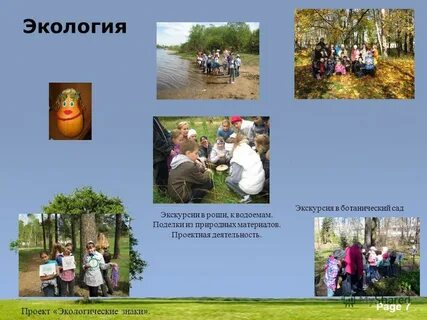 Формы экологических экскурсий