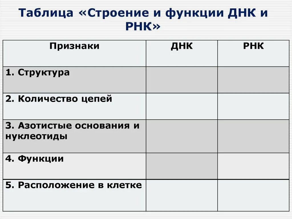 Структура и функции ДНК И РНК таблица. Таблица строение и функции ДНК И РНК структура. Строение и функции ДНК И РНК таблица. Строение ДНК таблица.