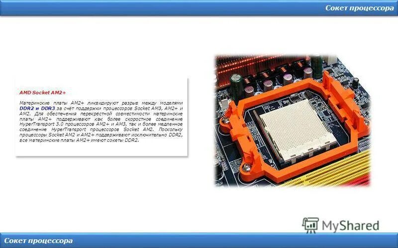 Сокет ам3 процессоры. Процессор AMD Socket am3. Процессоры на сокете ам3+ таблица. Процессоры на сокет am3 список. Сокеты 3.3 5