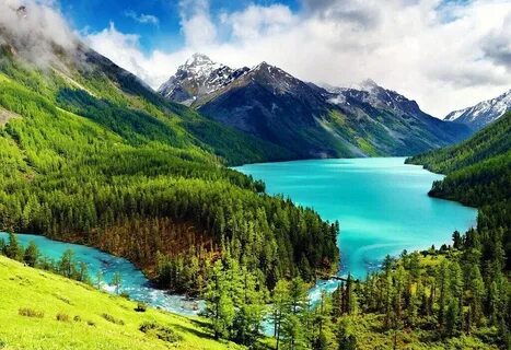 Жеке свингерлердің порносы