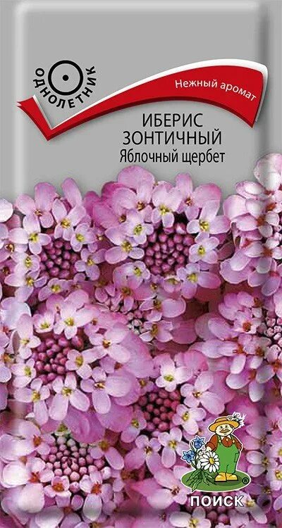 Иберис купить семена. Иберис яблочный щербет. Иберис медонос. Иберис зонтичный Лилициана. Иберис зонтичный семена.