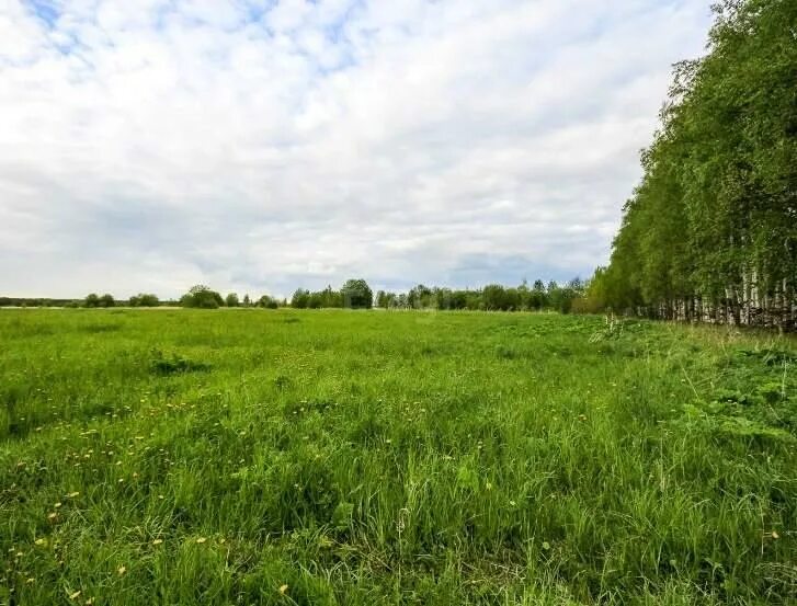 Участок красный восход. Красный восход пермь. Красный восход липовая роща. Поселок красный восход пермский край. Поселок красный восход.