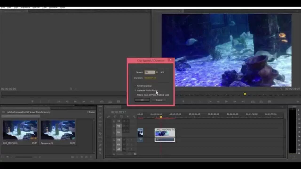 Анимация в премьер про. Анимация в адоб премьер. Реверс видео в Adobe Premiere. Краш Adobe Premiere Pro. Как замедлить видео в Premiere Pro.