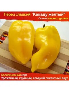 Перец какаду