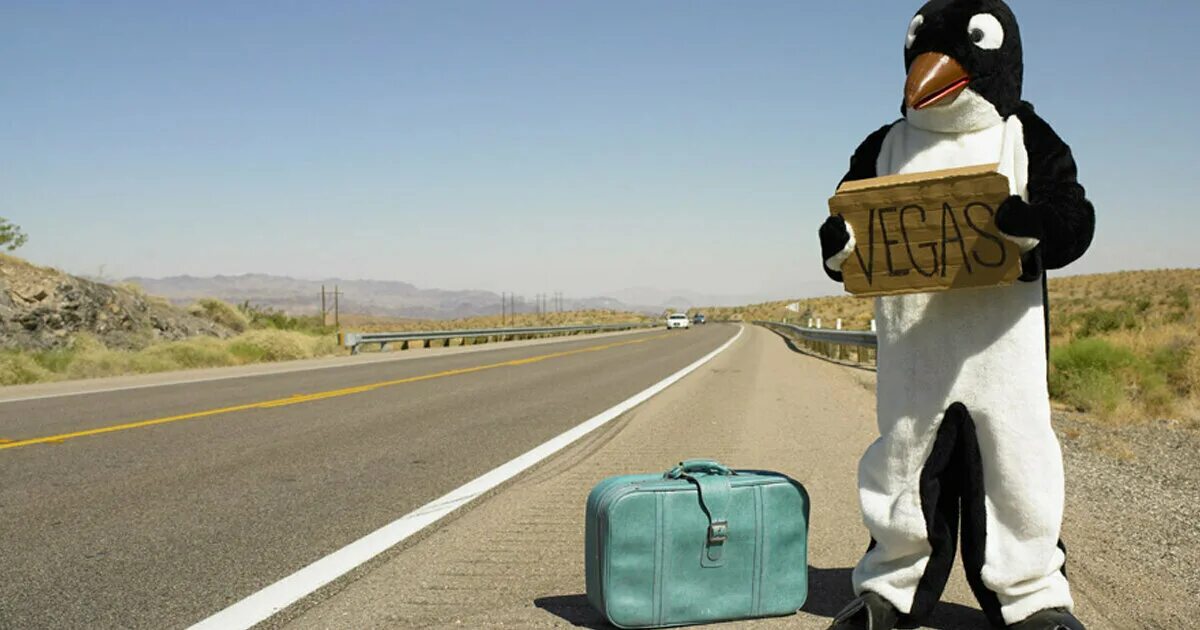 Путешествие автостопом. Подвезти на машине. Про автостоп. Длинное путешествие. Путешествие.