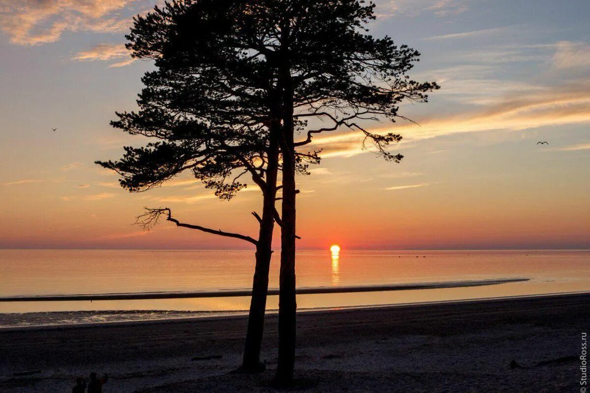 Ягры. Остров ягры белое море. Северодвинск дюны ягры. Остров ягры северодвинск. Остров ягры северодвинск.