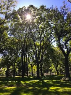 Sun park