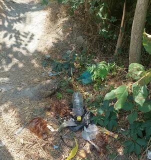 В новороссийске утонул