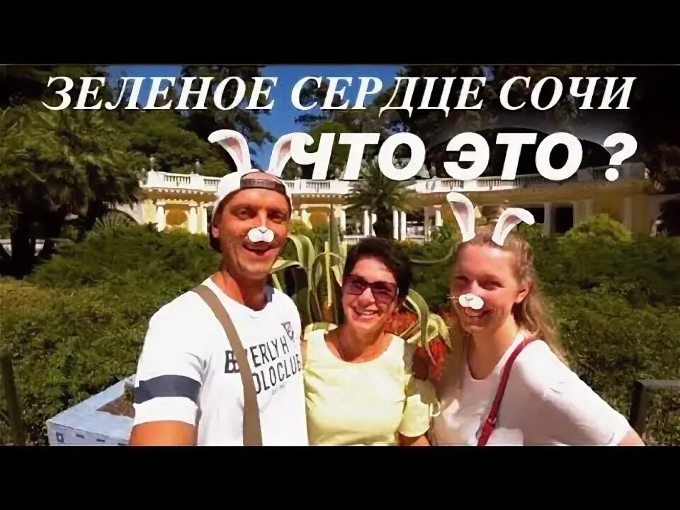 Еду сочи сетевой. Еду сочи сетевой