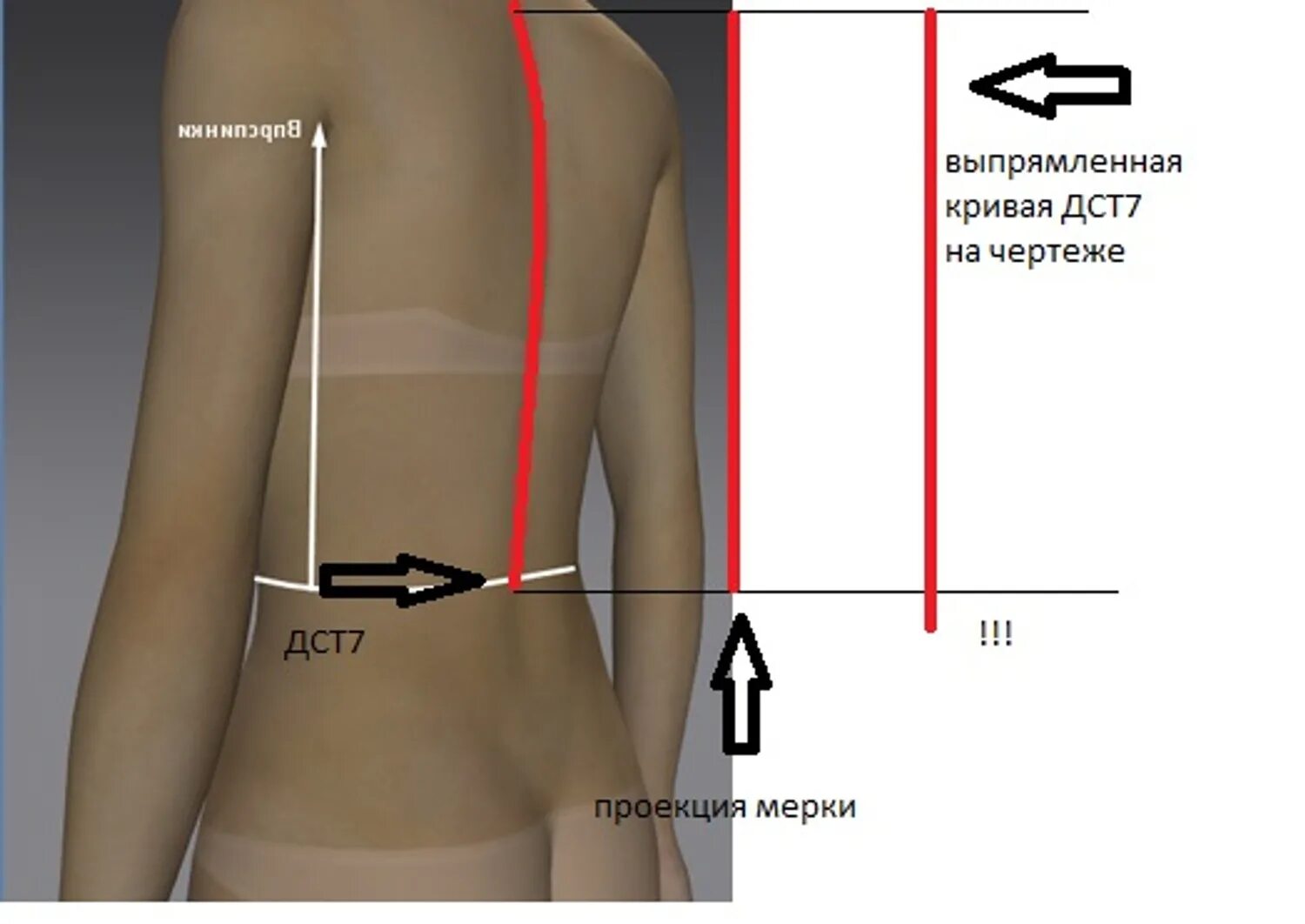Мерки для пошива юбки. Манекен для снятия мерок. Таблица для снятия мерок. Мерка длина изделия. Снятие мерок дтс.