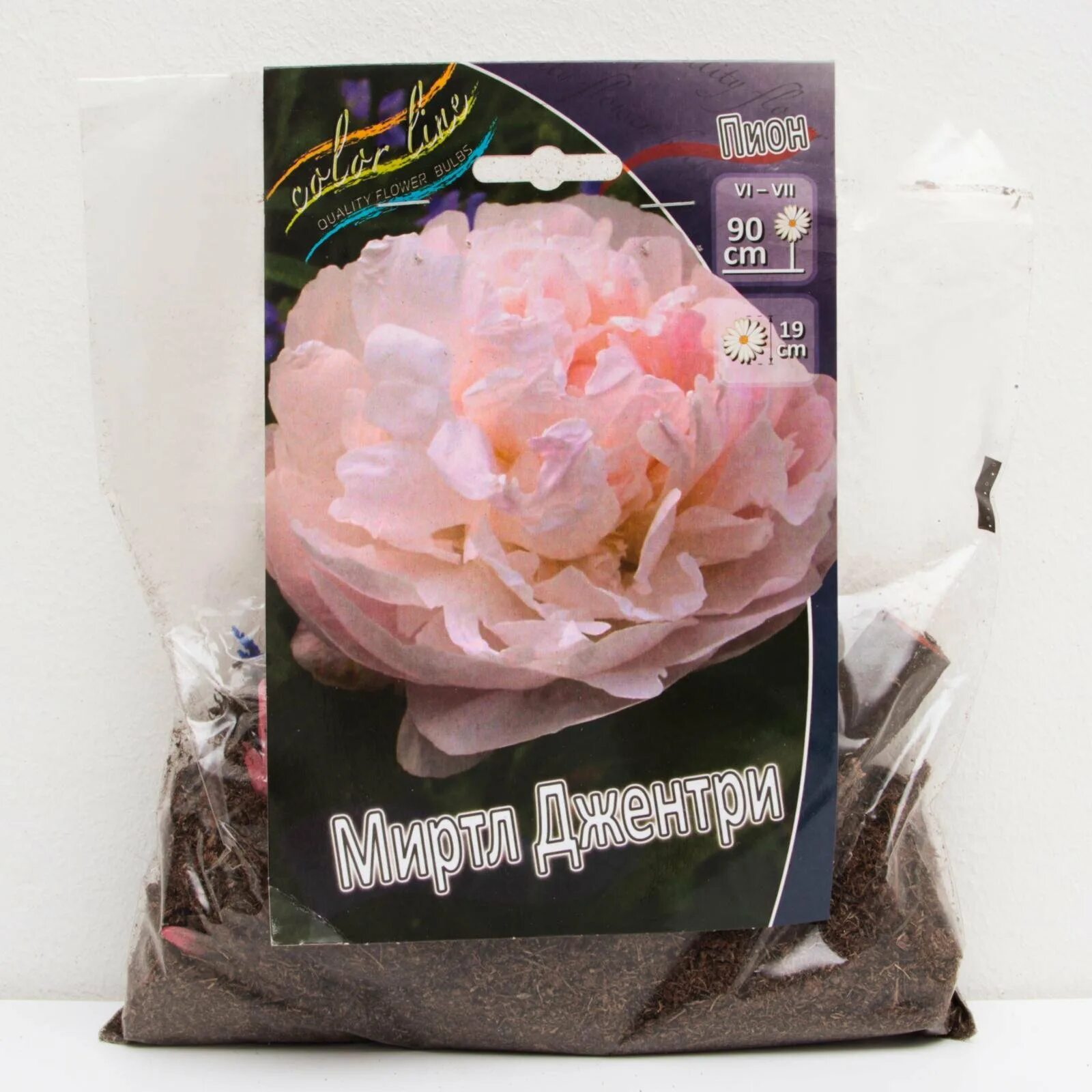 Пион миртл. Myrtle Gentry пион. Пион травянистый Миртл Джентри. Пион Майя Плисецкая. Пион Myrtle Gentry 1 шт..