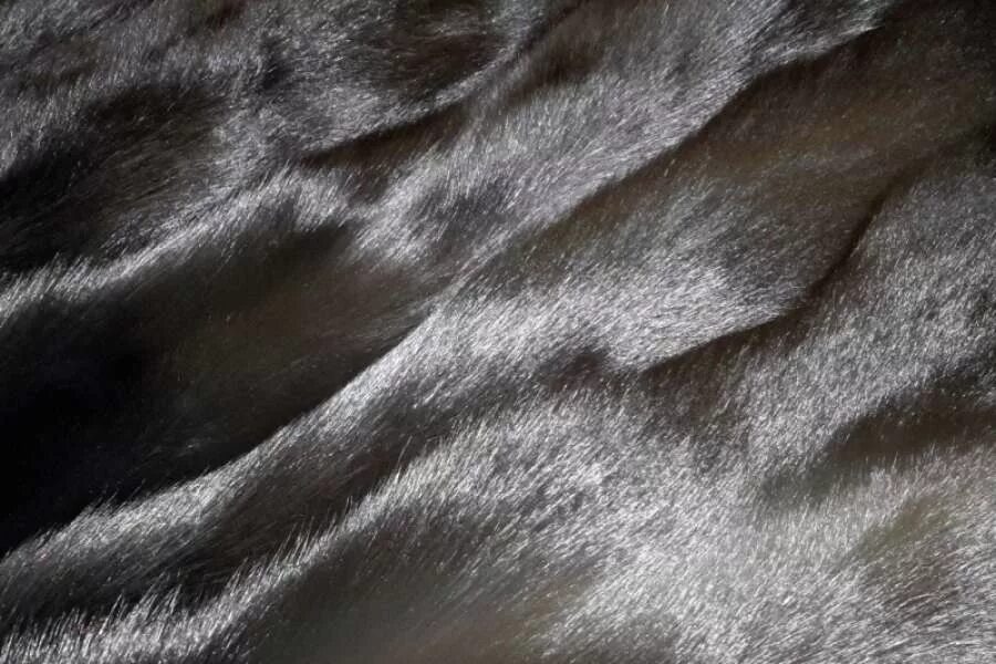 Плотный мех. Черный мех натуральный. крашеный мех норка. шкурка песца.