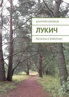 Лукич книги