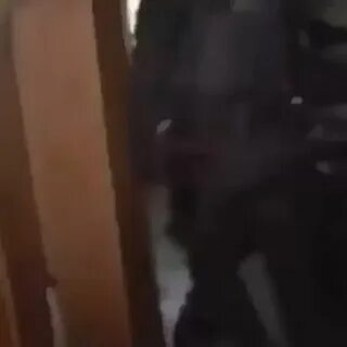 Давай залетим к тебе в дом перевернем