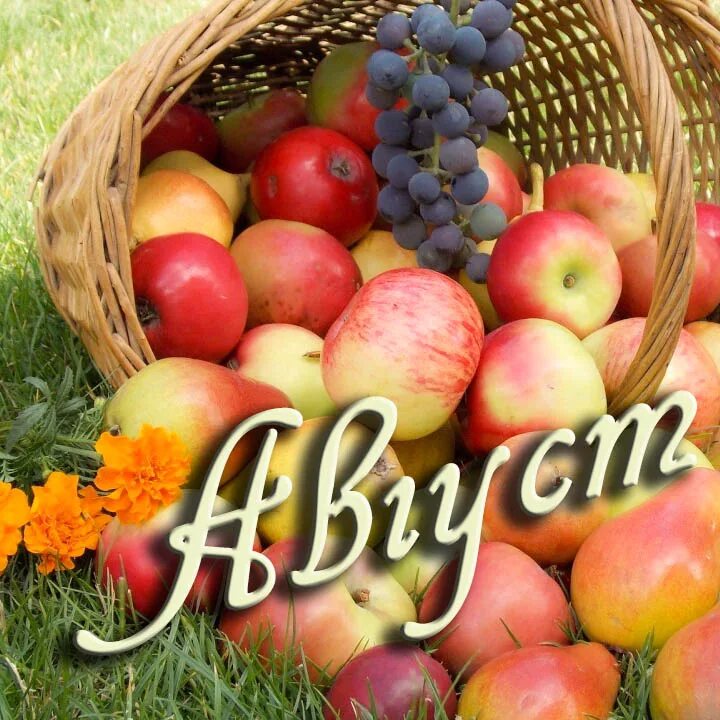 1 августа время. 1 августа время