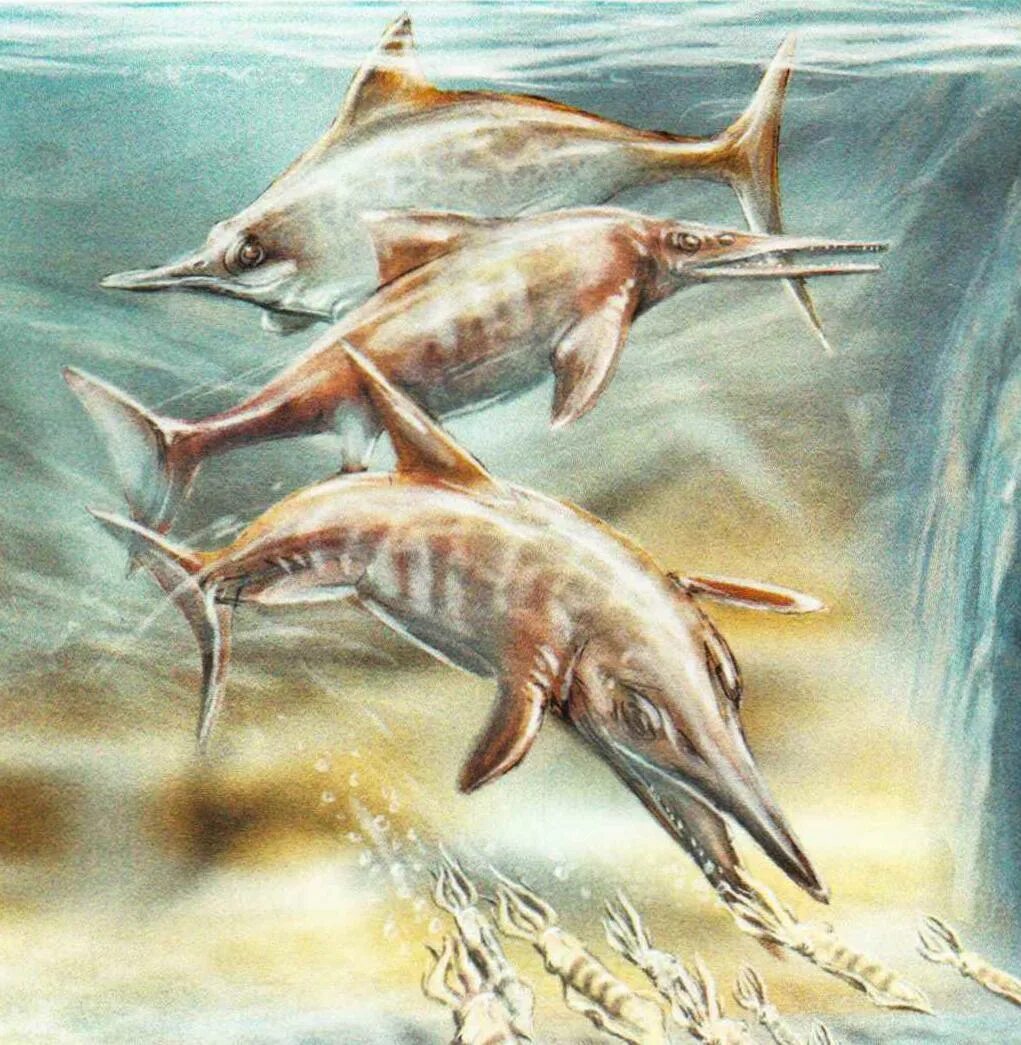 Рыба ихтиозавр. Ихтиозавр Эра. Ящер Ихтиозавр. Ихтиозавры живородящие. Ихтиозавры Триасового периода.