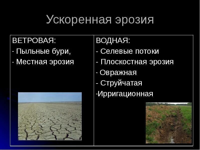 Размываемая почва. Эрозия почвы Ветровая водная механическая строительная это. Водная и Ветровая эрозия почв. Ветровая эрозия почв. Водная эрозия почв.