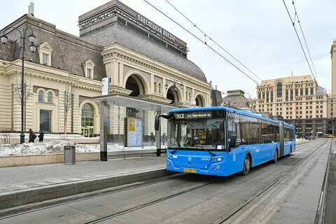 Новые виды транспорта в москве