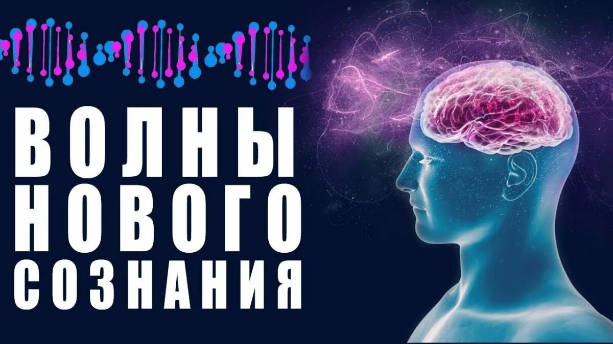 Бета ритм головного мозга. Бета альфа тета дельта состояния. Альфа бета тета волны. Состояния мозга альфа бета дельта тета. Частоты тета альфа бета.