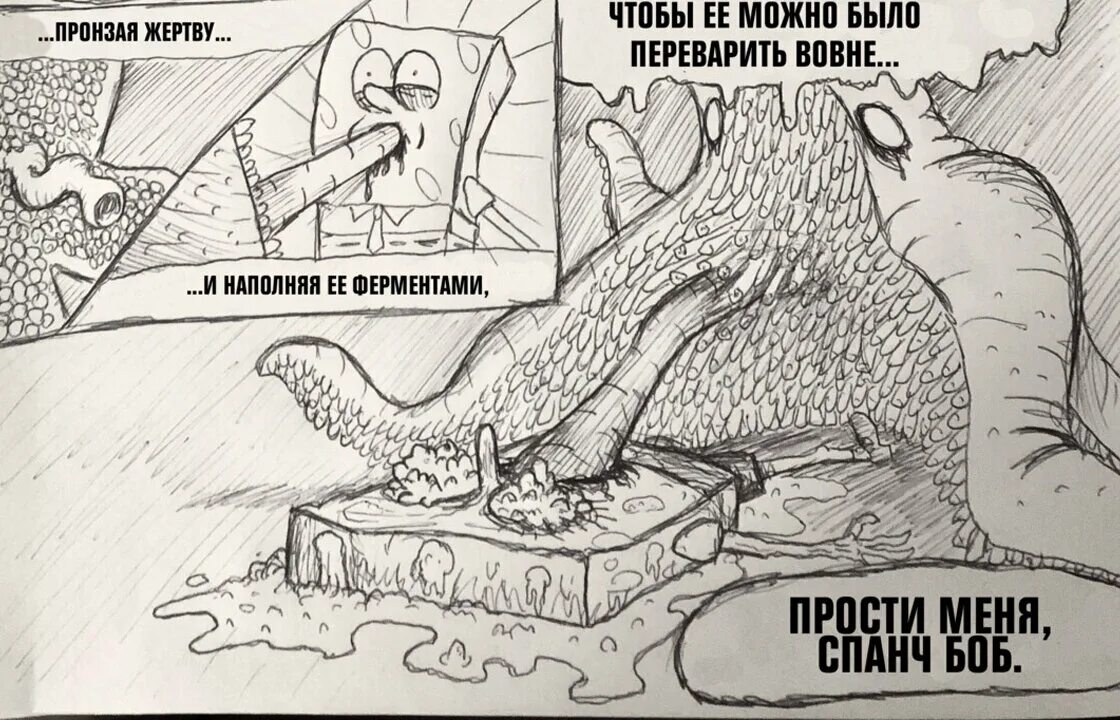 Ужасы бикини боттом