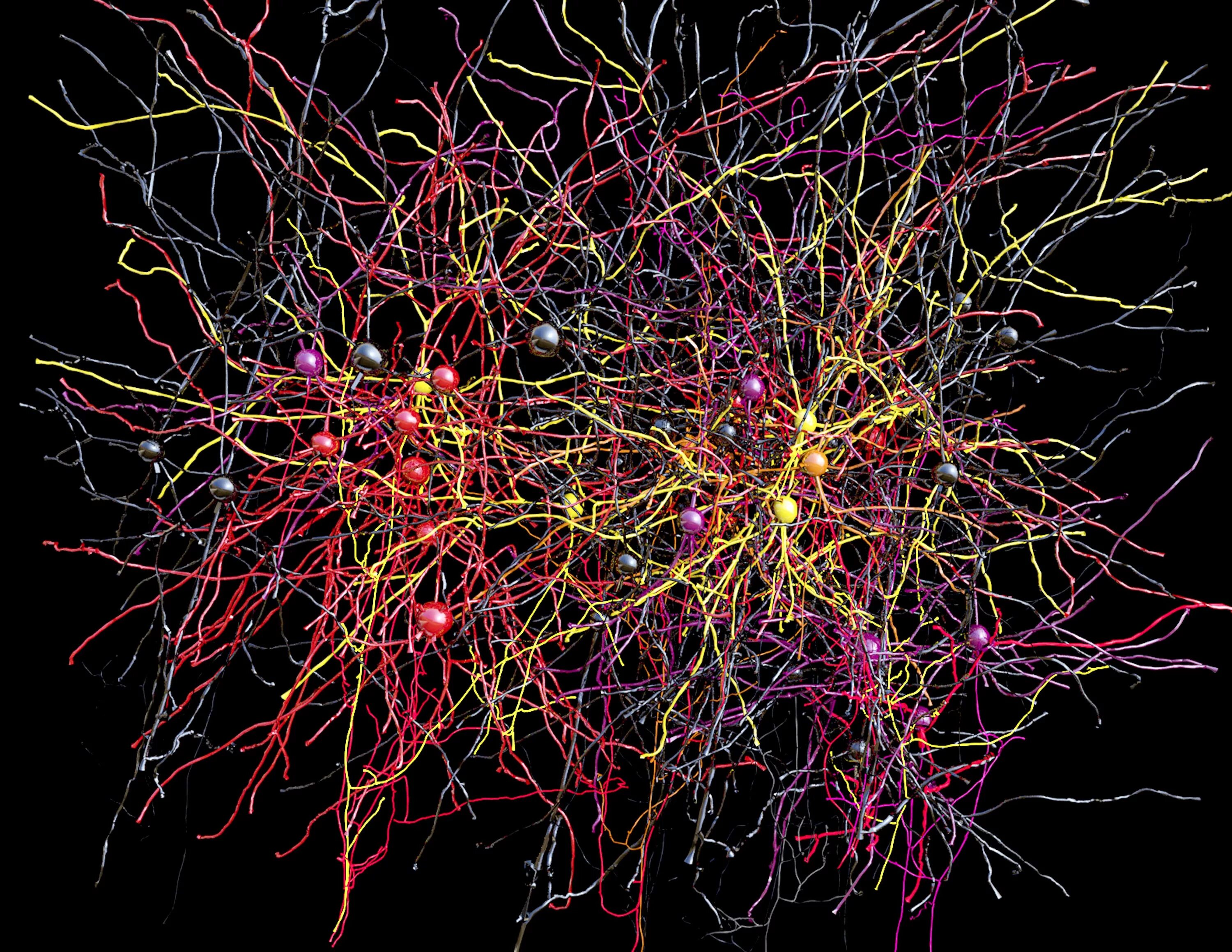 Core connections. Нейронная система. Нейронные микросети. Нейронные клетки головного мозга. Нейронная сеть мозга Нейрон.