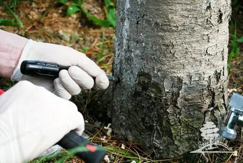 Обрабатывает ствол