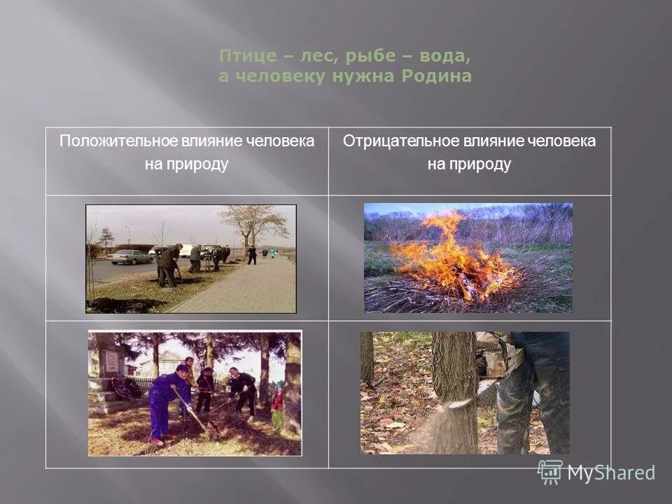 5 положительных влияний человека на природу. Положительное влияние человека на природу. Отрицательное влияние человека на лес. Положительное влтияние человек на природу. Воздействие на природу отрицательное и положительное.