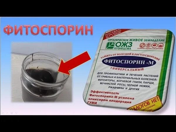 Как пользоваться фитоспорином для помидор