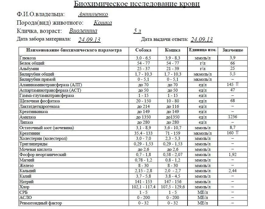 Анализы крови аст алт расшифровка. Асло в биохимическом анализе крови норма. Биохимия АСТ крови показатели. Нормы показателей крови биохимия алт АСТ .. Биохимический анализ крови расшифровка у женщин алт АСТ.