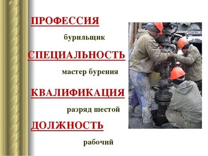 Профессия специальность должность примеры