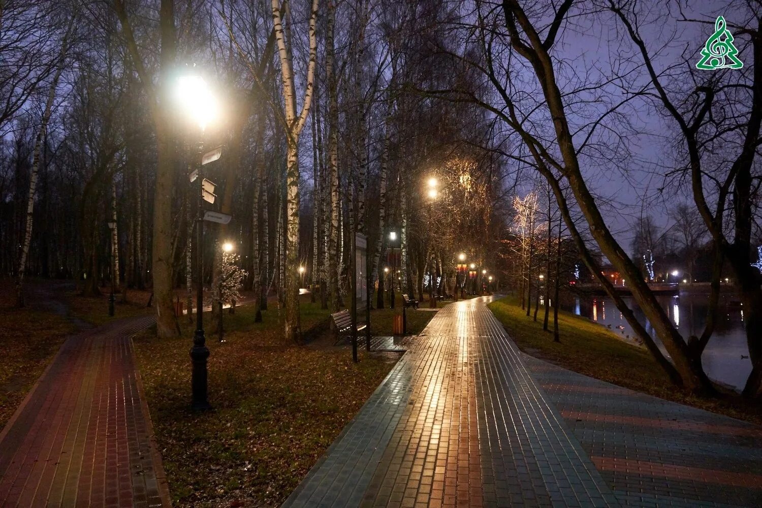 аллея освещенная. освещение сквера. тропаревский парк ночью. уличное освещение. сквер платан краснодар.