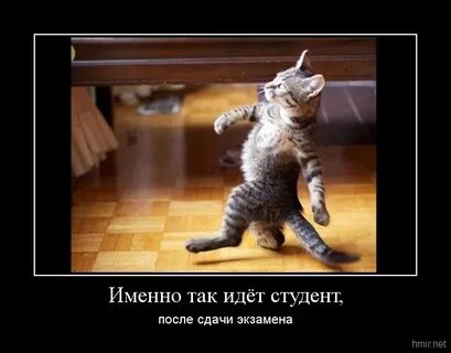 Так идет ему
