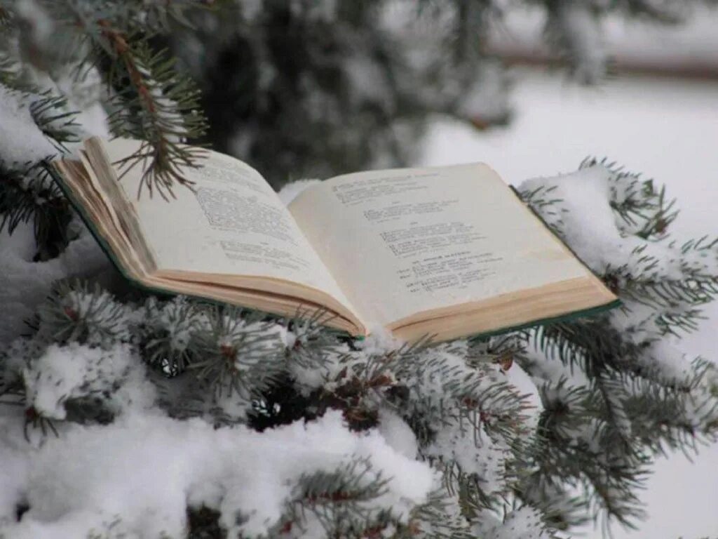 Прочитать книгу зима. Книги зима. зимнее чтение. зимняя книга. книга на снегу.