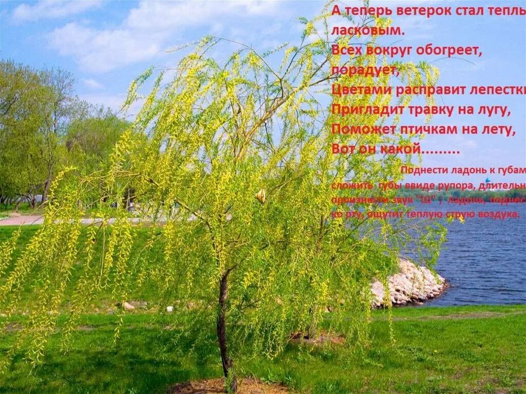 теплый весенний ветер