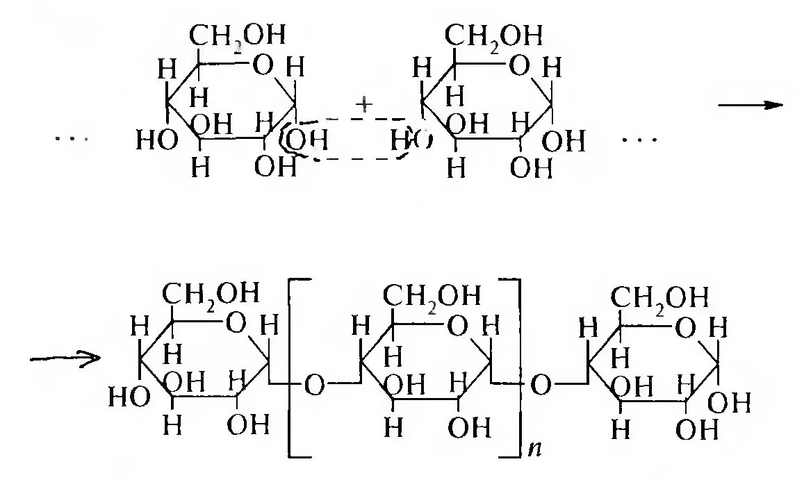 Образование крахмала из Глюкозы реакция. Реакция поликонденсации с образованием крахмала. Крахмал в глюкозу реакция. Получение крахмала формула. Реакция поликонденсации глюкозы