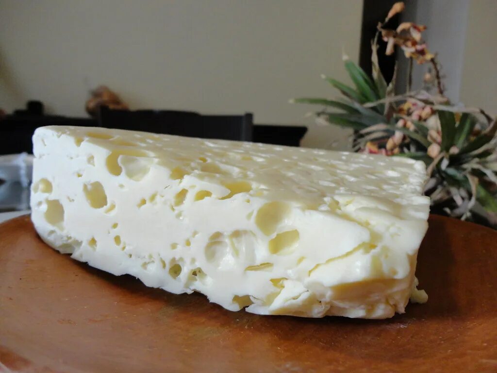 Queso fresco сыр где купить. Кесо Фреско сыр. Сыр Пальмита. Queso de Cabra салат. Рецепт сыра Пальмита.