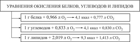Белки окисление