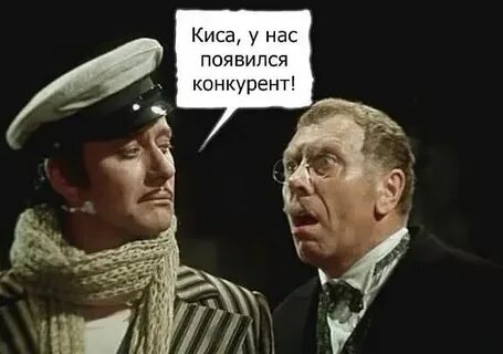 Бендер и киса