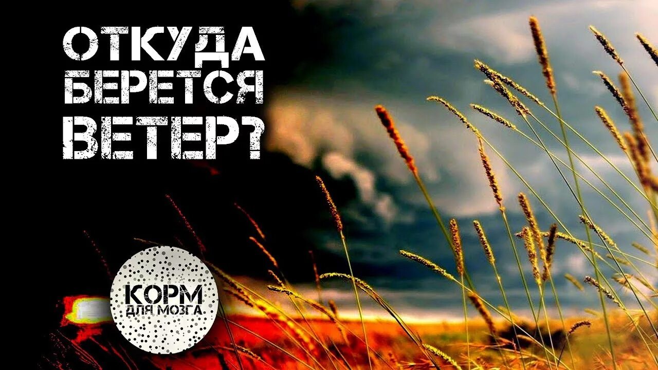 Откуда берется ветер. Откуда берется ветер ветер. Откуда берётся ветер на земле. Картинки откуда берется ветер.