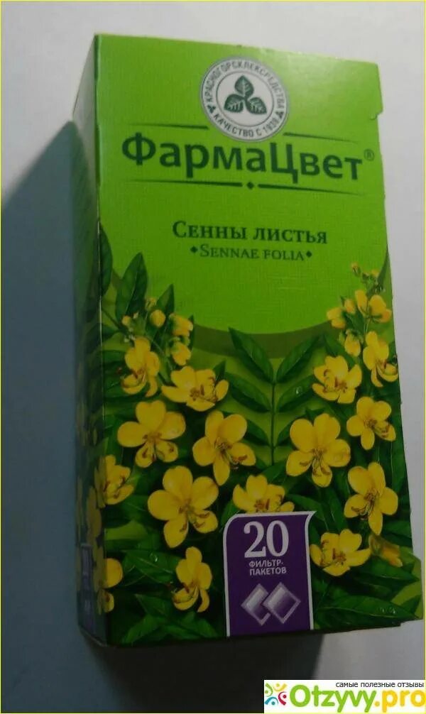 Сенна мекканская растение. Слабительная трава сенна. Листья сенны для похудения. Листья сенны для похудения. Сенна трава фармацвет.
