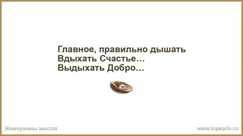 Главное правильная